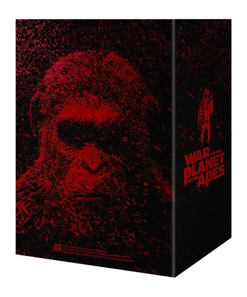 Blu-ray - Manta Lab